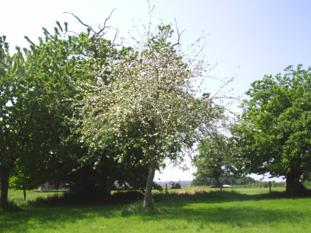 Chambres D'Hote Honey Orchard Farm Vessey エクステリア 写真